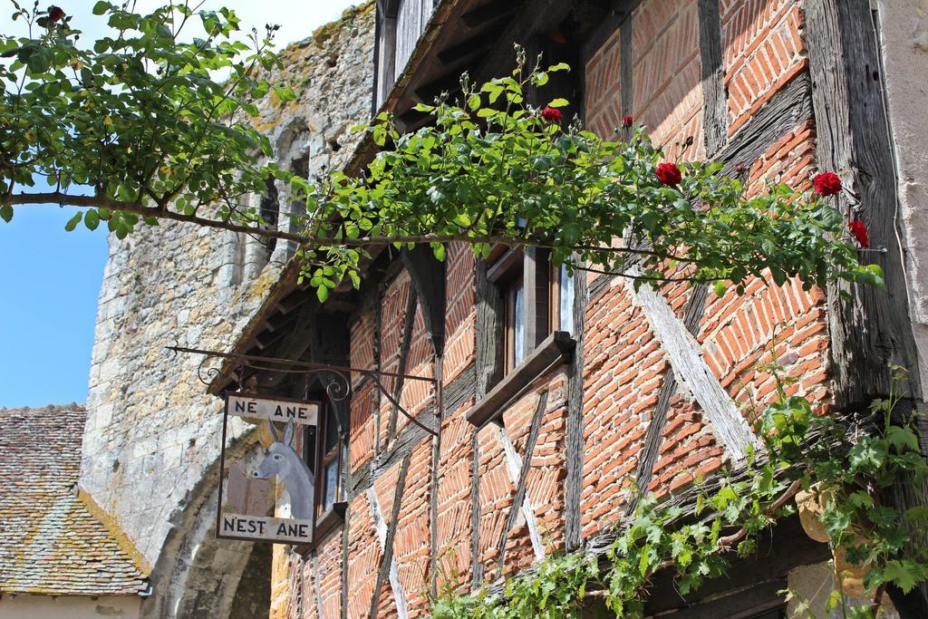 Le Meuble Monestois Villa Mennetou-sur-Cher Dış mekan fotoğraf