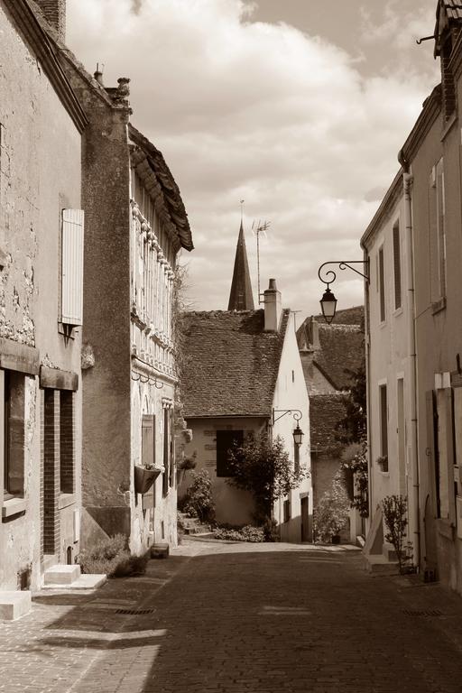 Le Meuble Monestois Villa Mennetou-sur-Cher Dış mekan fotoğraf